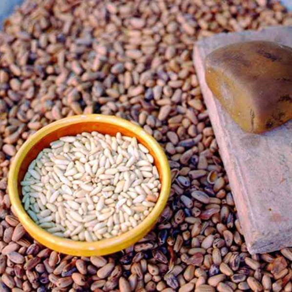 Piñón Ibérico Pelado Natural